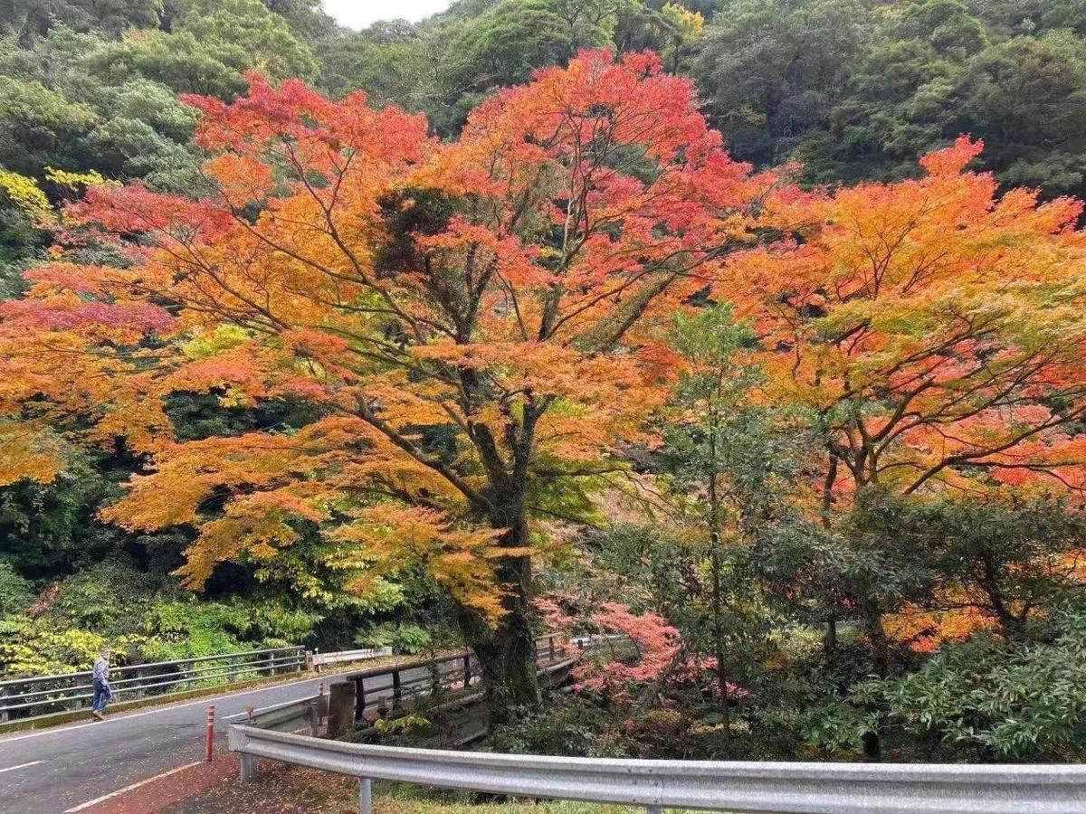ホテル 星の里 霧島市 エクステリア 写真