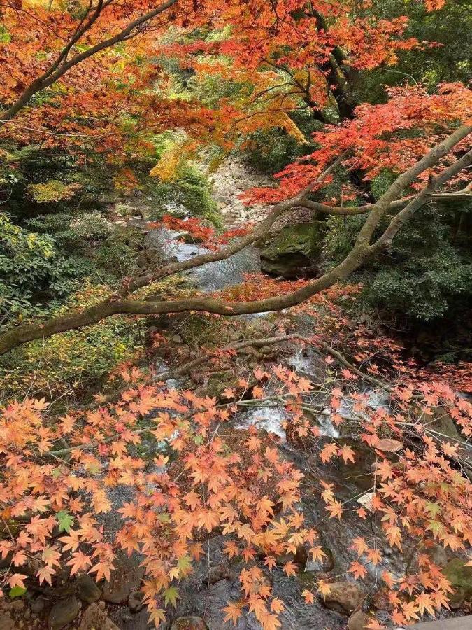 ホテル 星の里 霧島市 エクステリア 写真